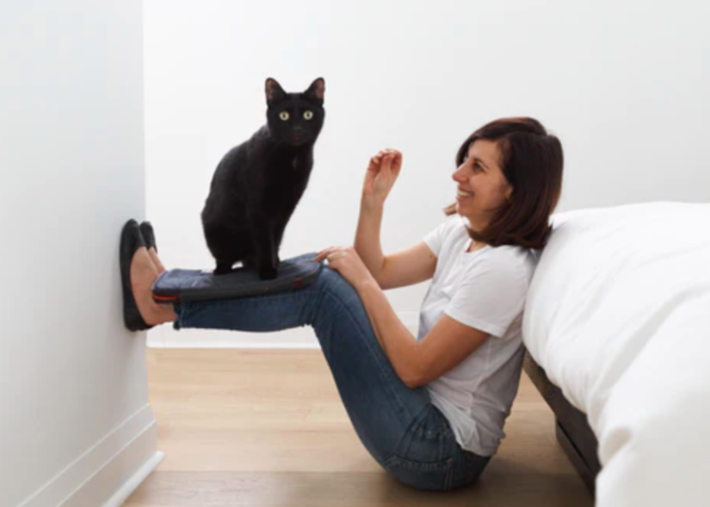 woman clicker training a cat who is standing on her balanced legs
