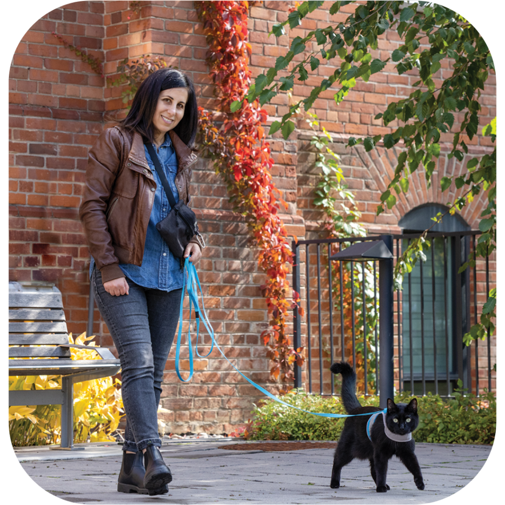 woman walking black cat on a leash outdoors