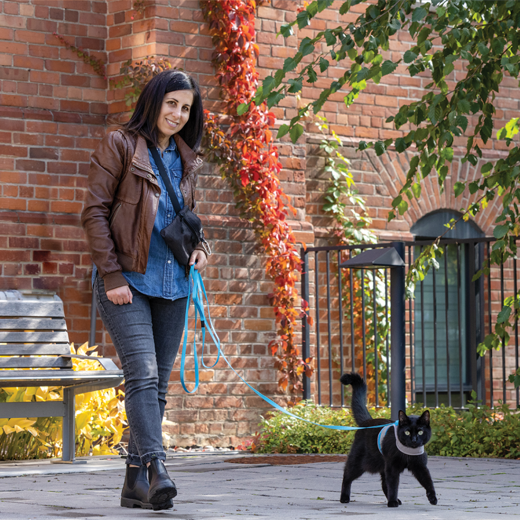 woman walking black cat on a harness and leash