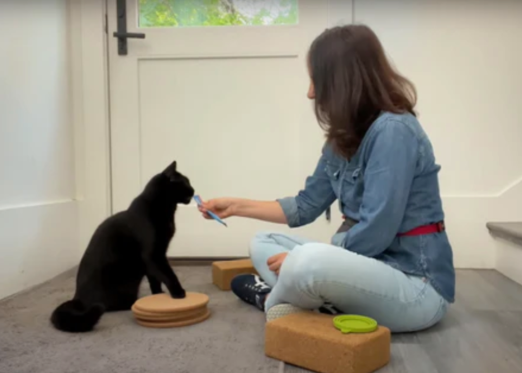 cat nail trim training - woman teaching cat to place paw on cork trivet