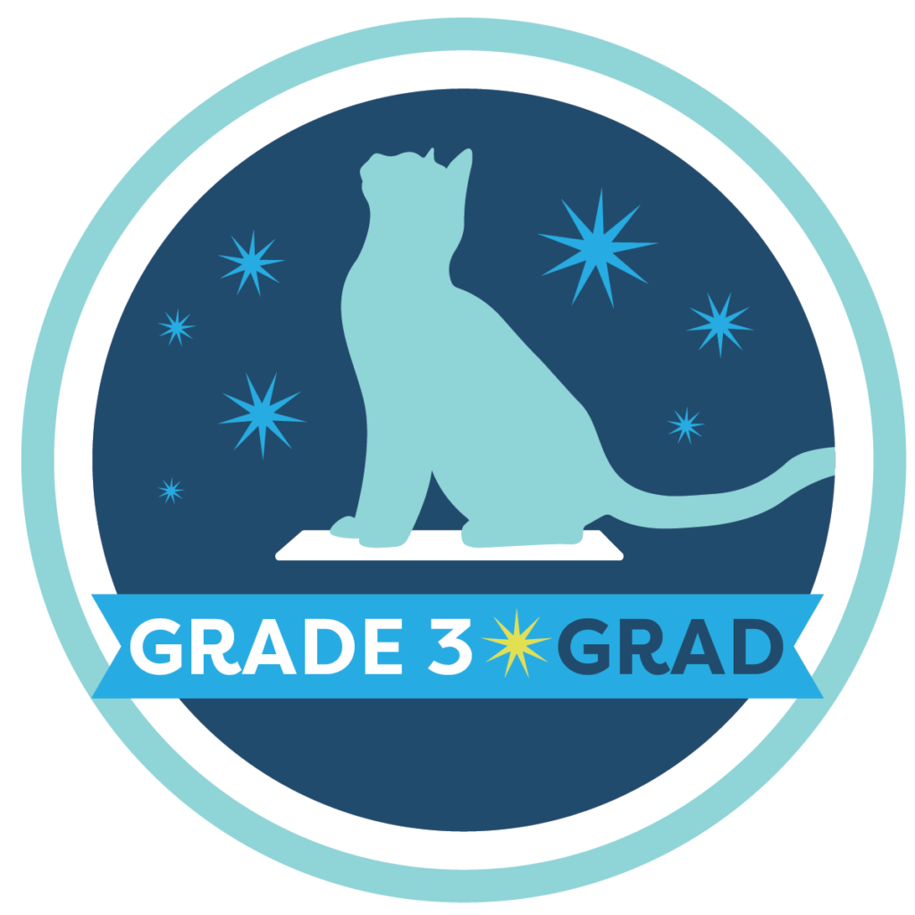 Cat School Grade 3 badge