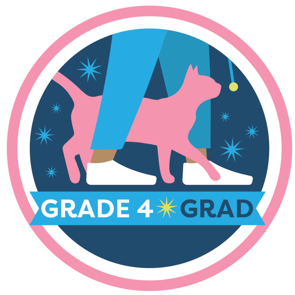 Cat School Grade 4 badge